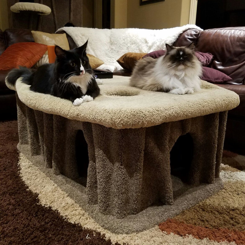 KittycatCondos 18" Cat Condo & Reviews Wayfair